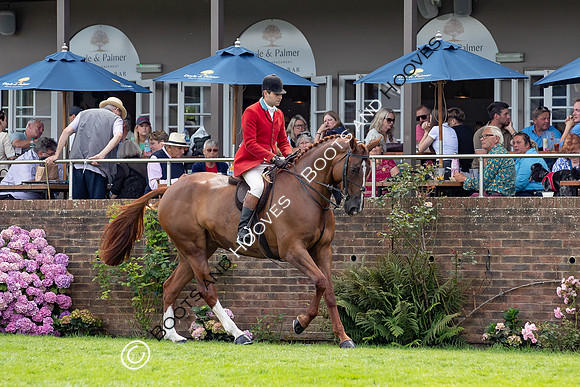 The AGRIA Royal International Horse Show