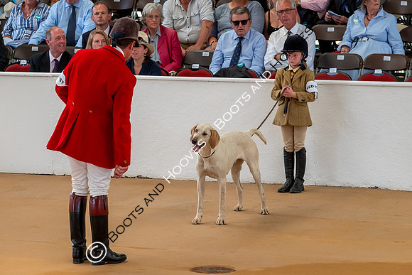 Festival of Hunting