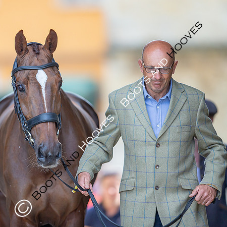 Badminton Horse Trials
