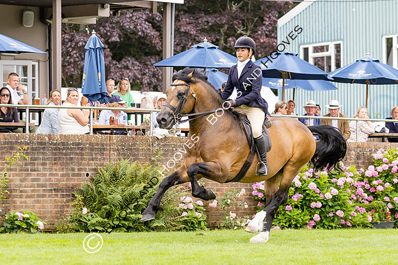 The Agria Royal International Horse Show