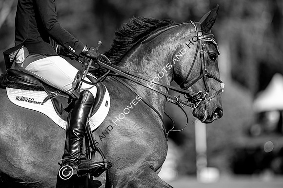 Hickstead