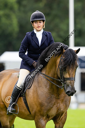 The Agria Royal International Horse Show