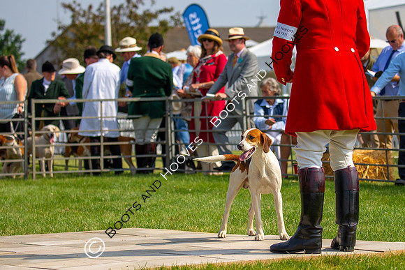 Festival of Hunting