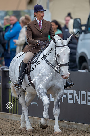 The Royal Windsor Horse Show