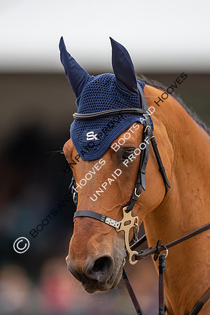 The Royal Windsor Horse Show