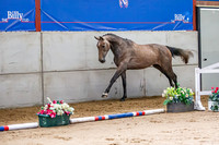 The Billy Stud Auction