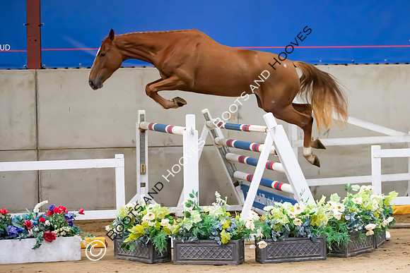 The Billy Stud Auction
