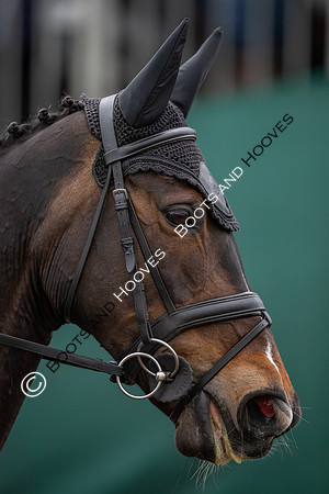 Badminton Horse Trials presented by Mars Equestrian