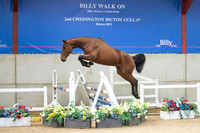 The Billy Stud Auction