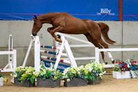 The Billy Stud Auction