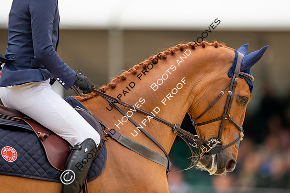 The Royal Windsor Horse Show