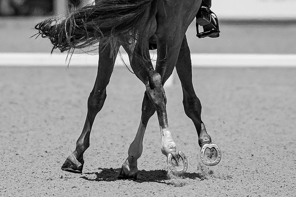 I.C.E Horseboxes All England Dressage Festival