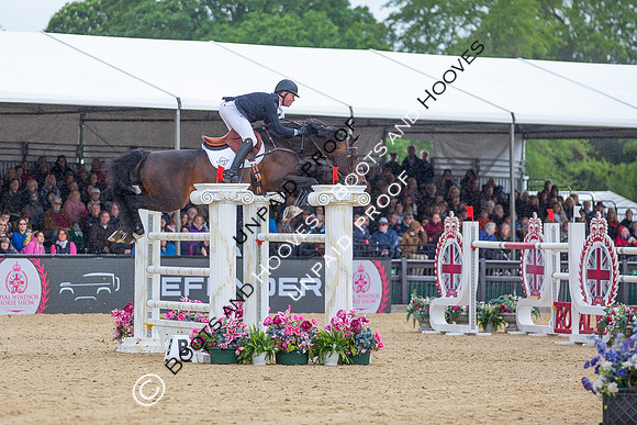 The Royal Windsor Horse Show