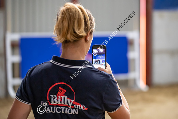 The Billy Stud Auction