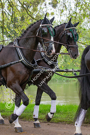 The Royal Windsor Horse Show