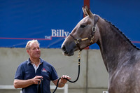 The Billy Stud Auction