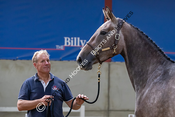 The Billy Stud Auction