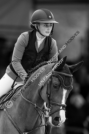 The Royal Windsor Horse Show