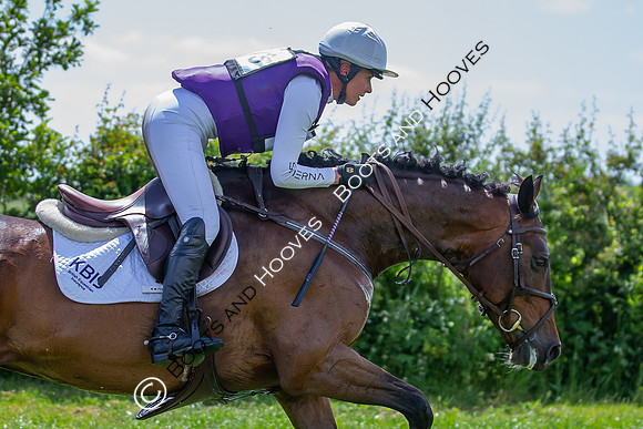 The Childeric Saddles Little Downham (1)