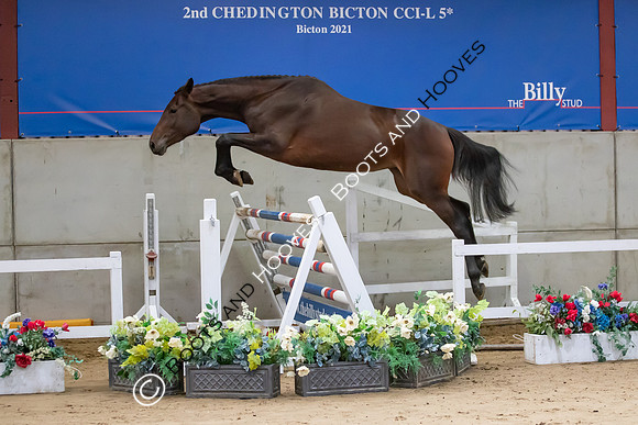 The Billy Stud Auction