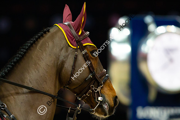 Showjumping