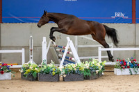 The Billy Stud Auction