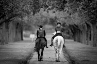The Royal Windsor Horse Show