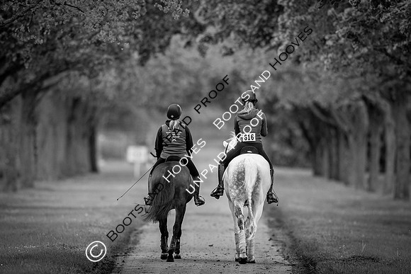 The Royal Windsor Horse Show