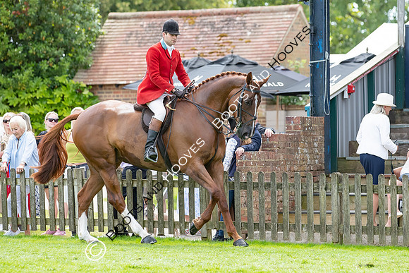 The AGRIA Royal International Horse Show