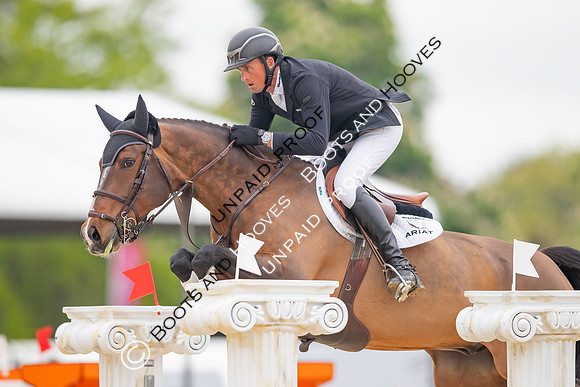 The Royal Windsor Horse Show