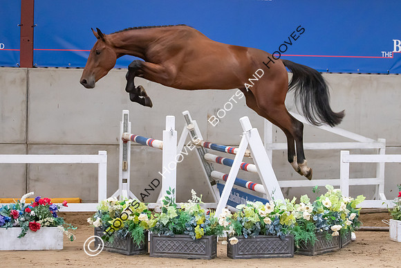 The Billy Stud Auction