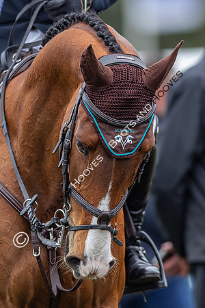 Badminton Horse Trials presented by Mars Equestrian