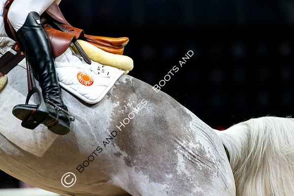 Showjumping