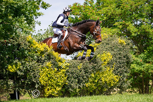 The Childeric Saddles Little Downham (1)