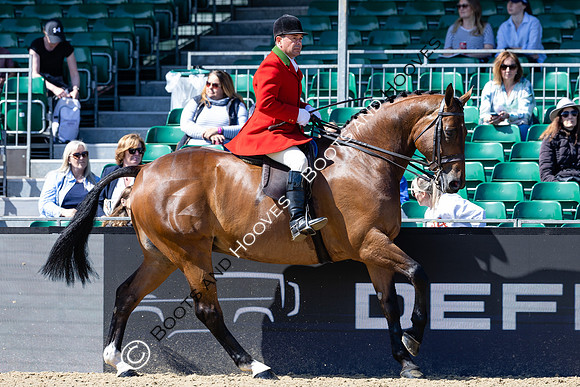 Royal Windsor Horse Show