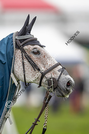 Badminton Horse Trials presented by Mars Equestrian