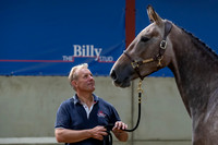 The Billy Stud Auction