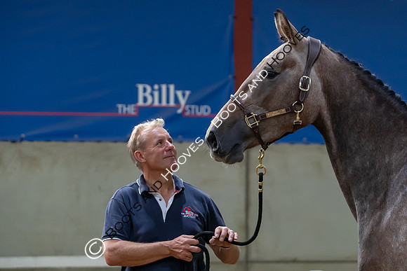 The Billy Stud Auction