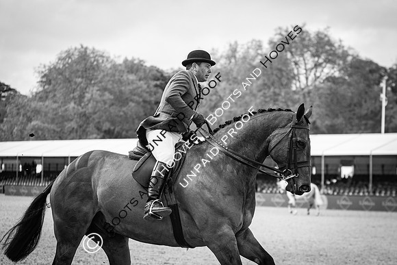 The Royal Windsor Horse Show