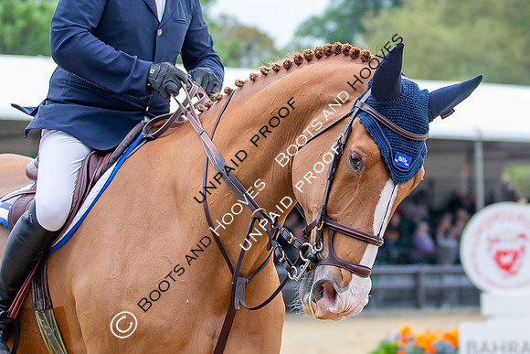 The Royal Windsor Horse Show