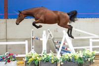 The Billy Stud Auction