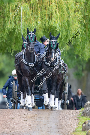 The Royal Windsor Horse Show