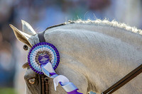 Longines FEI European Championships