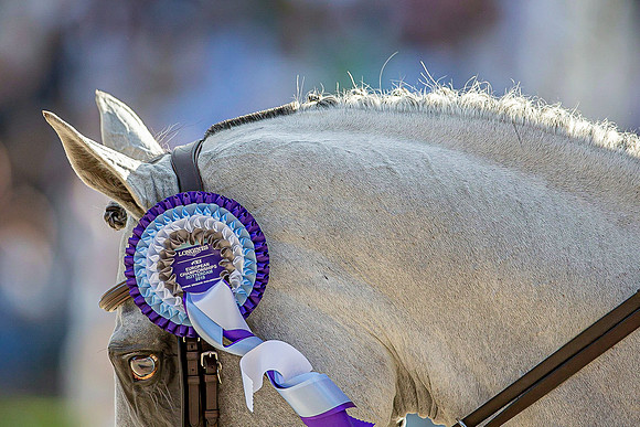 Longines FEI European Championships
