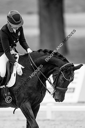 I.C.E. HORSEBOXES ALL ENGLAND DRESSAGE FESTIVAL 2023