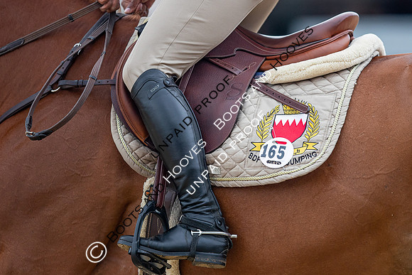 The Royal Windsor Horse Show