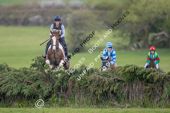 The Silver Spur