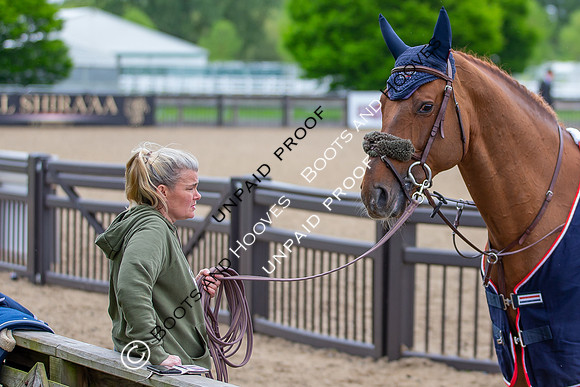 The Royal Windsor Horse Show