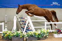 The Billy Stud Auction