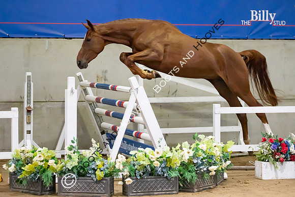 The Billy Stud Auction